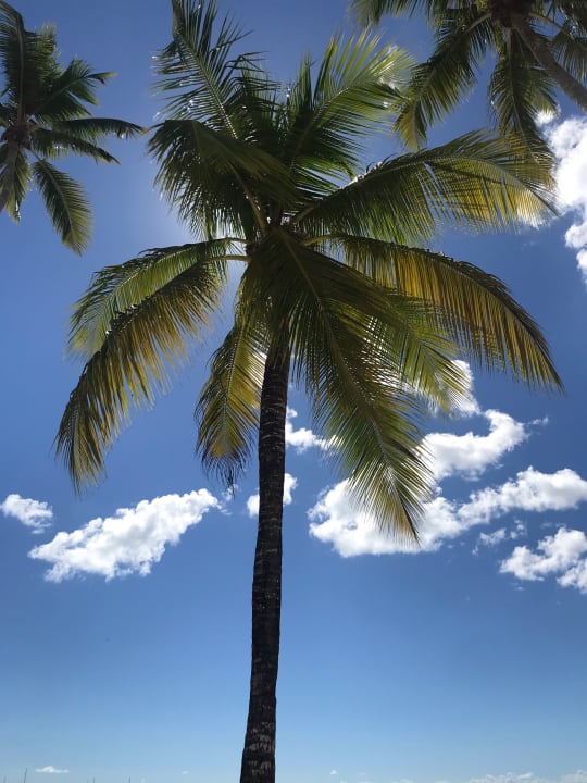 Strand Dreams La Romana Resort & Spa