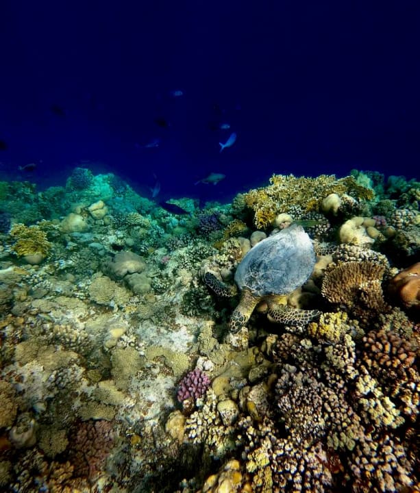 Strand Casa Mare Resort