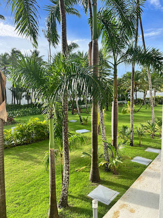 Gartenanlage Hotel Riu Palace Macao - Adults only