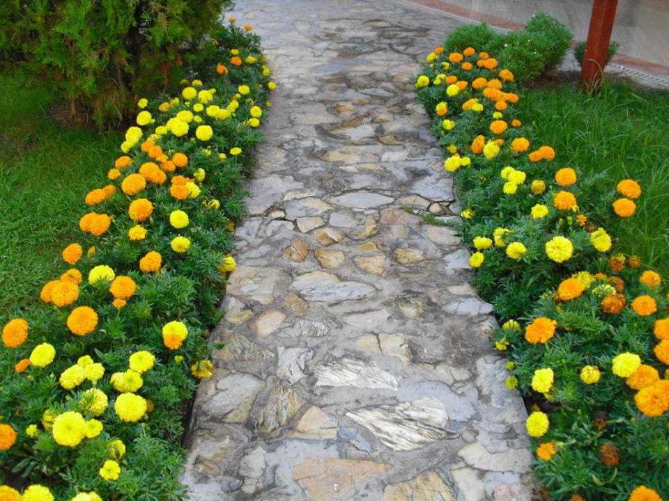 Garten Greenwood Kemer Resort