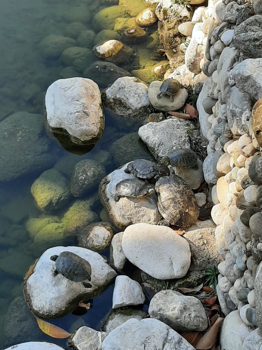 Gartenanlage Limak Limra Hotel & Resort