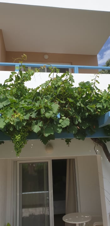 Gartenanlage Fodele Beach & Water Park Holiday Resort