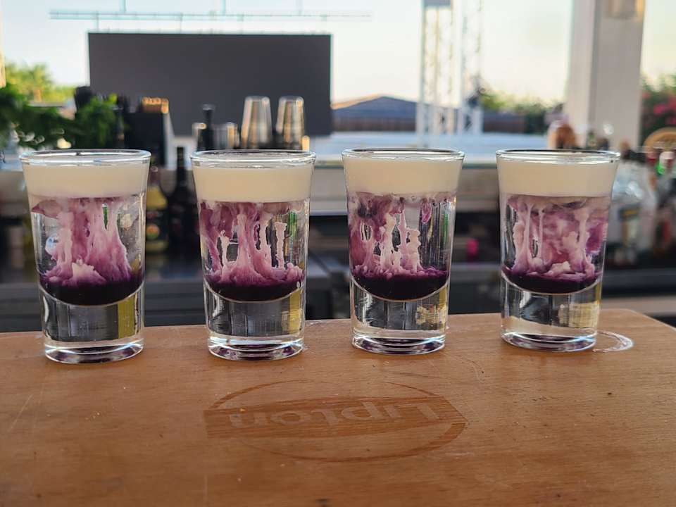 Gastro Rubi Platinum Sign