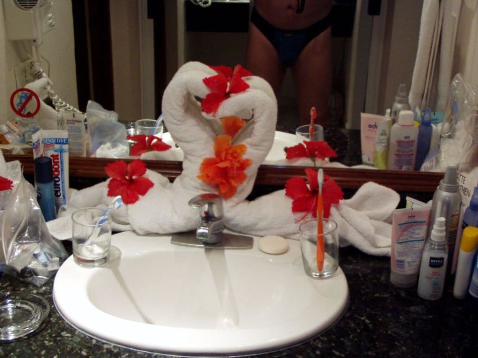 Handtuchschwan Royalton Splash Punta Cana