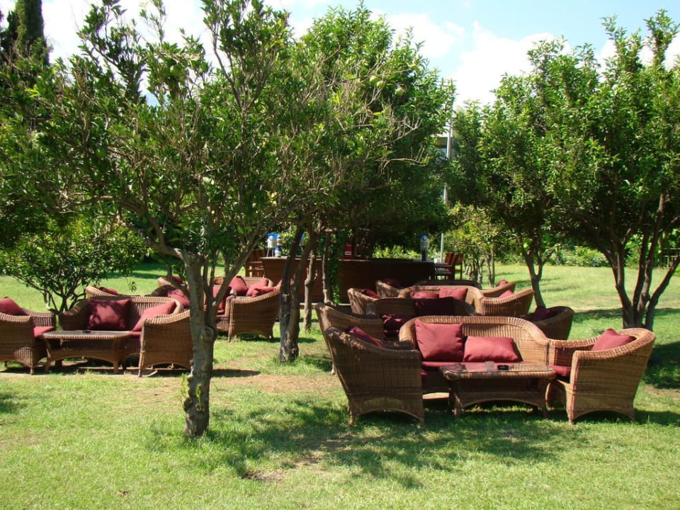 Бар Limak Limra Hotel & Resort