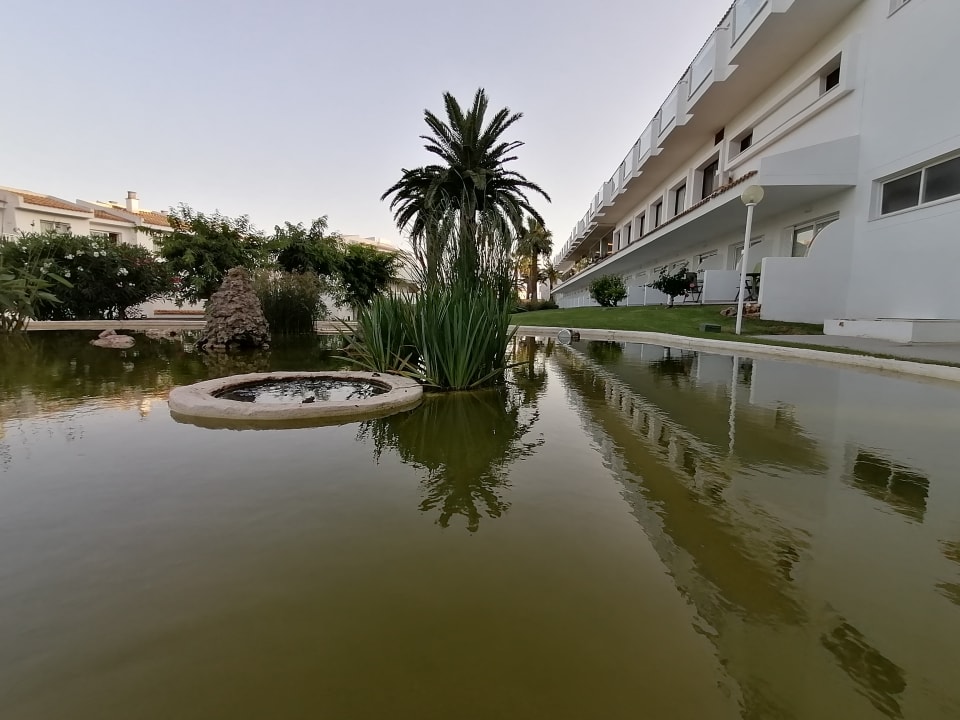 Gartenanlage blau punta reina