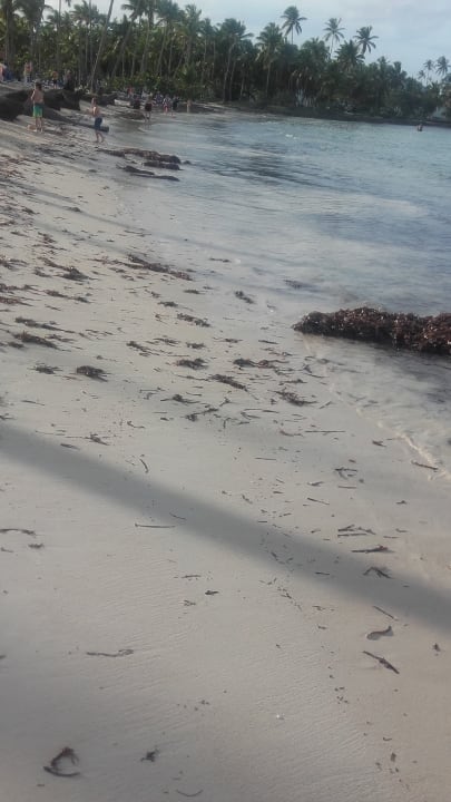 Strand Wyndham Alltra Samana