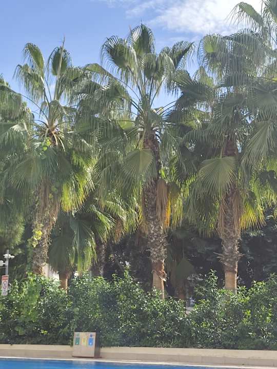 Pool Side Breeze Hotel