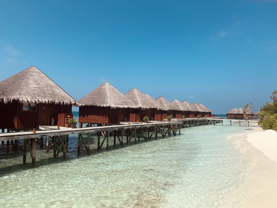 Zimmer Mirihi Island Resort