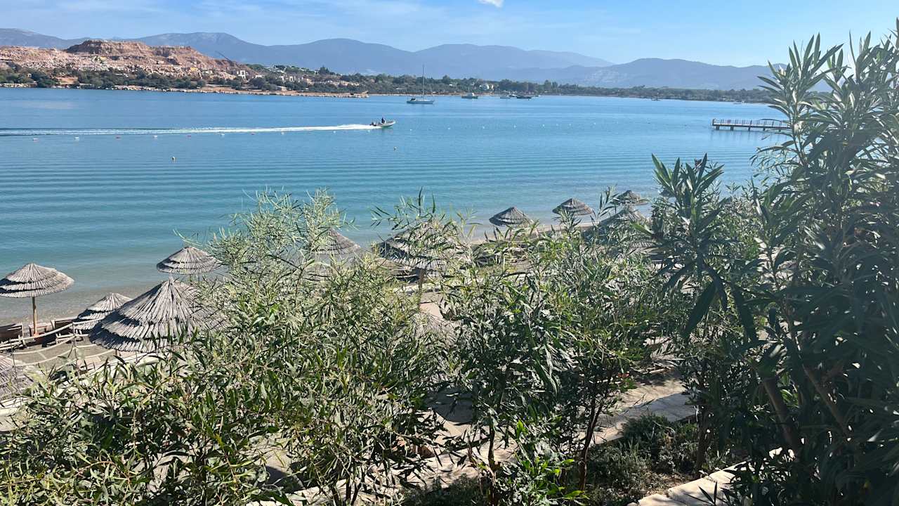 Ausblick Anda Barut Collection