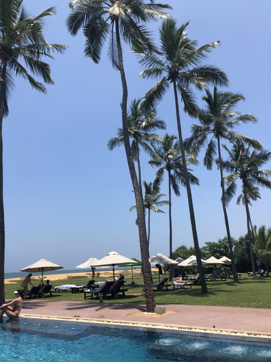 Gartenanlage Suriya Resort