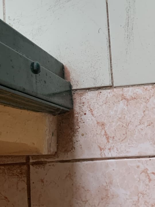 Zimmer Hotel Los Delfines Horizontes