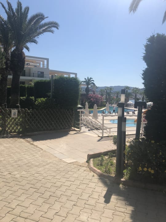 Ausblick Paloma Pasha