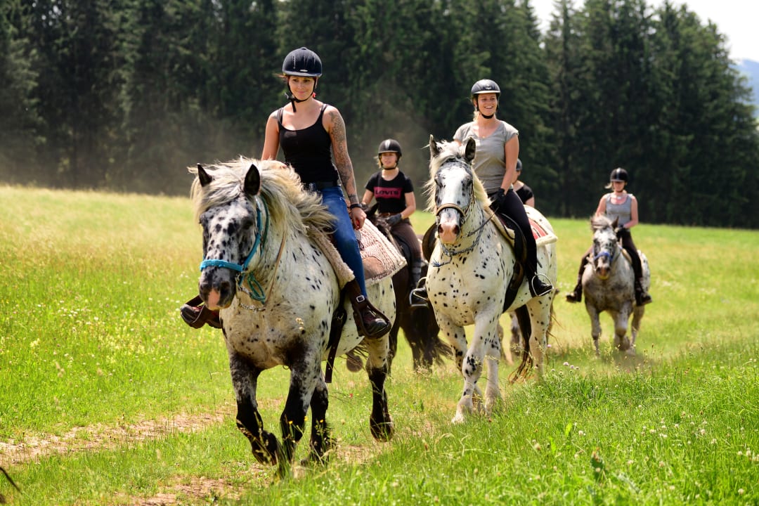 Sport & Freizeit Tigerhill-Ranch-Norikerhof