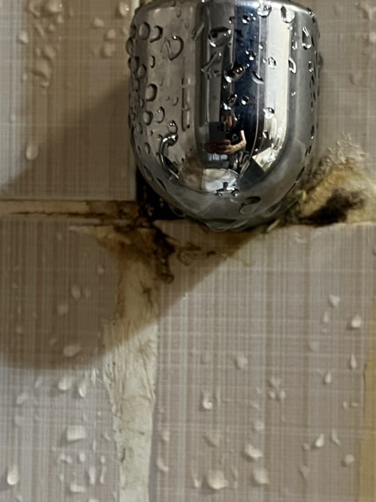 Zimmer Latanya Park Resort