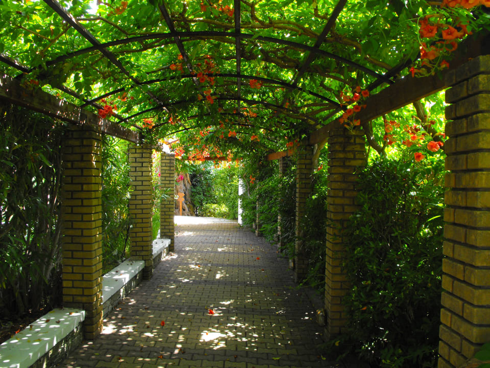 Zur Bar Sentido Apollo Palace