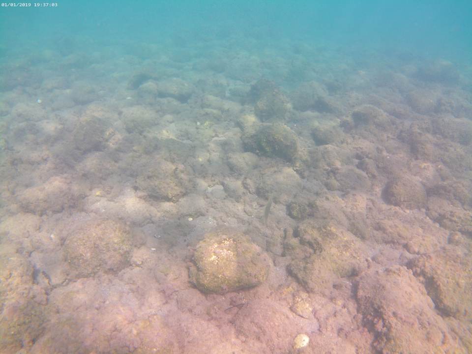 Strand Myrina Beach Hotel