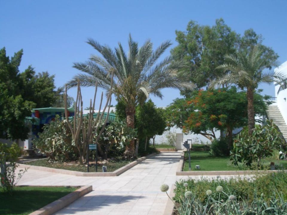 Gartenanlage Ghazala Beach
