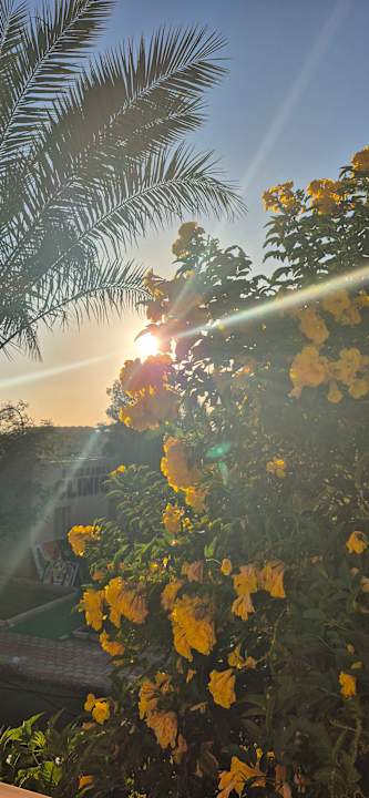 Gartenanlage Three Corners Sea Beach Resort