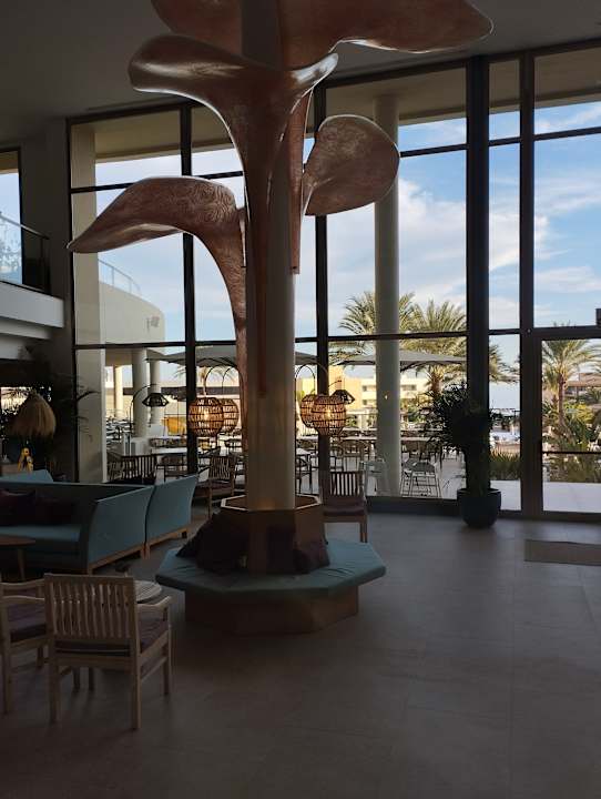 Lobby Iberostar Waves Gaviotas Park