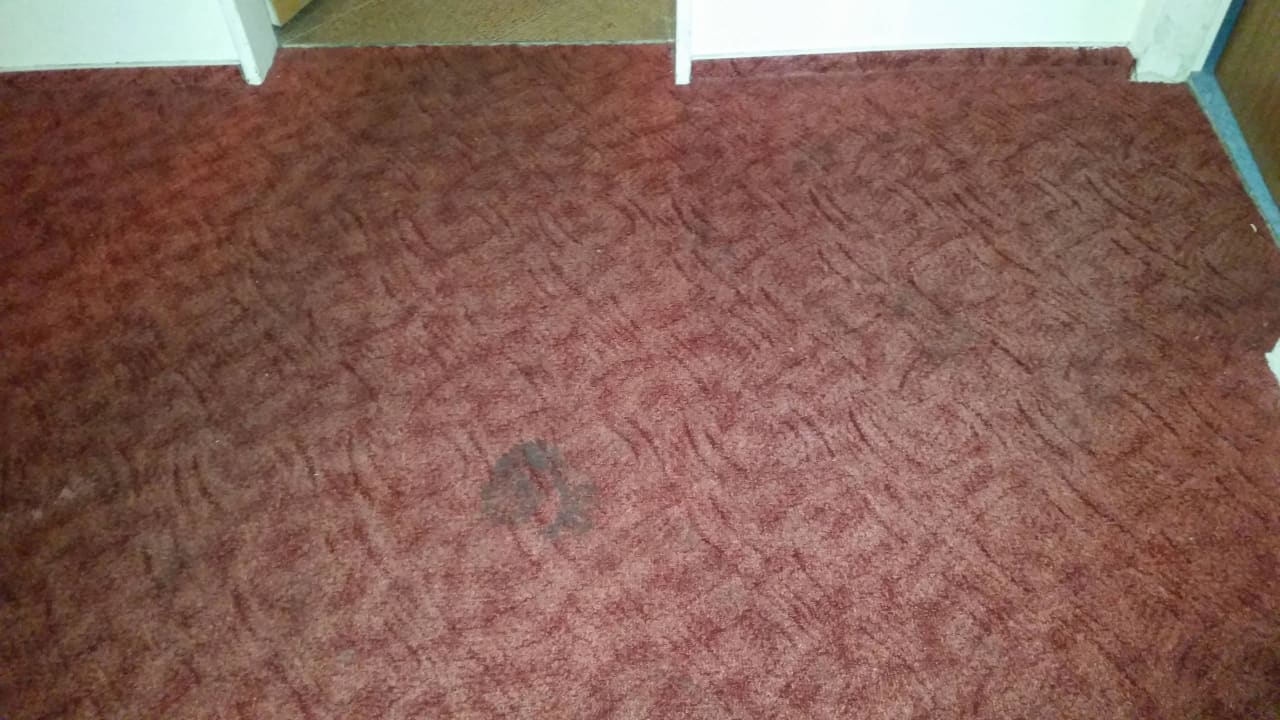 Boden Hotel Nevada Hamburg