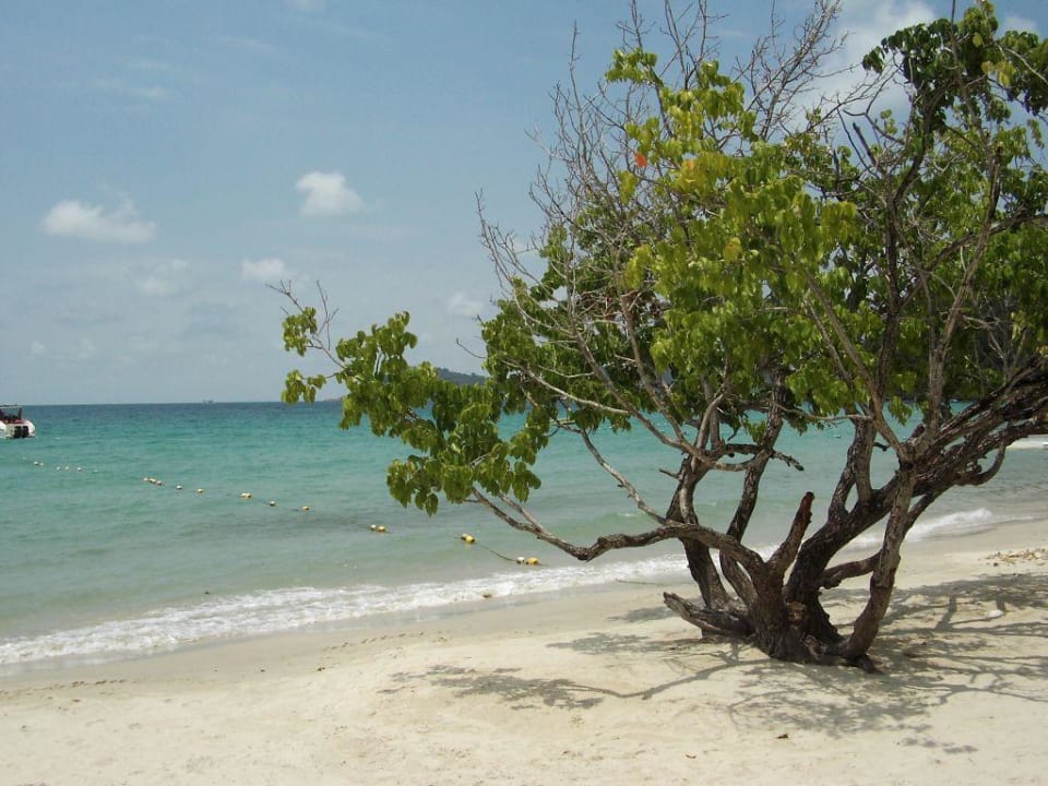 Strand Ao Prao Resort