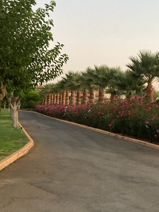 Außenansicht Anissa Beach & Village