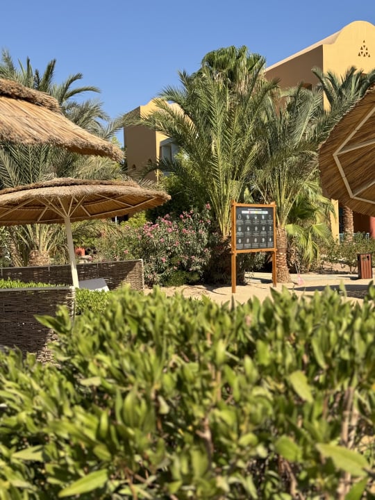 Gartenanlage Sheraton Miramar Resort El Gouna