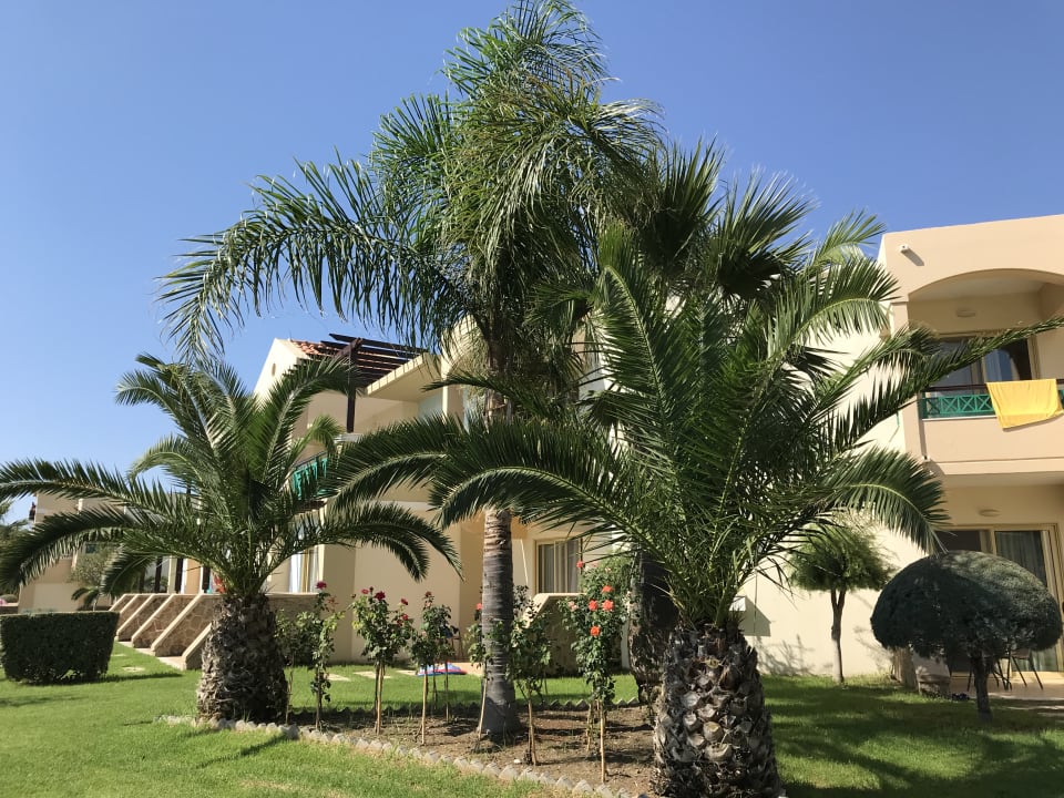 Gartenanlage Lindos Princess Beach Resort & Spa