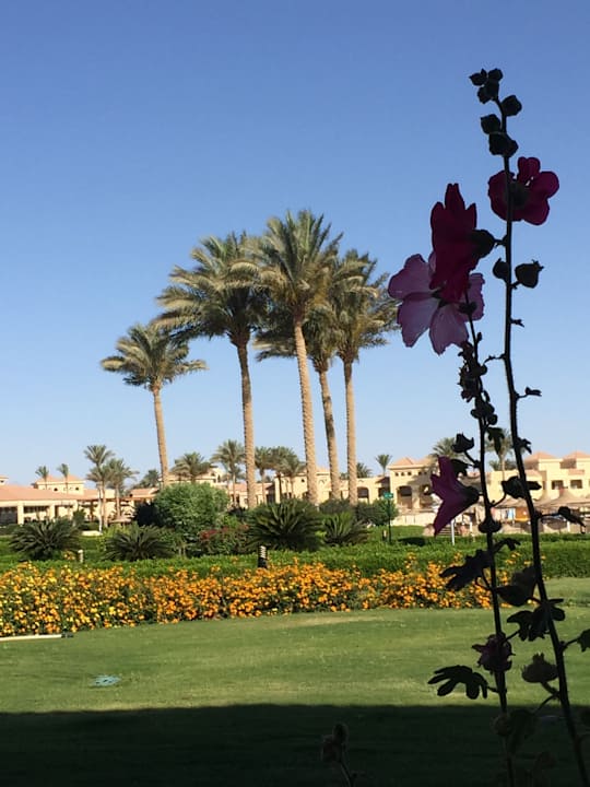 Gartenanlage Cleopatra Luxury Beach Resort Makadi Bay - Adults only