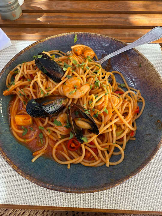 Gastro JAZ Elite Asteria
