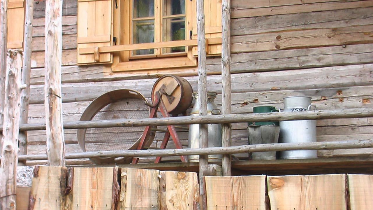 Hausdetails PRIESTEREGG Premium ECO Resort