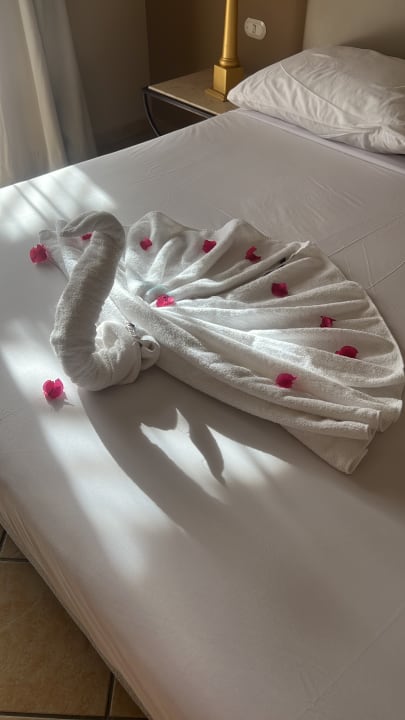 Zimmer Jaz Makadi Saraya Resort