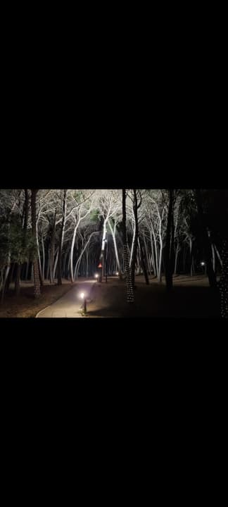 Strand TUI MAGIC LIFE Calabria