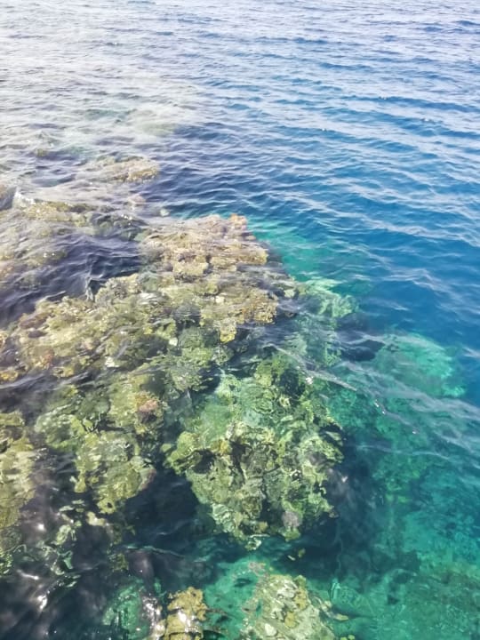 Strand MG Alexander The Great Hotel