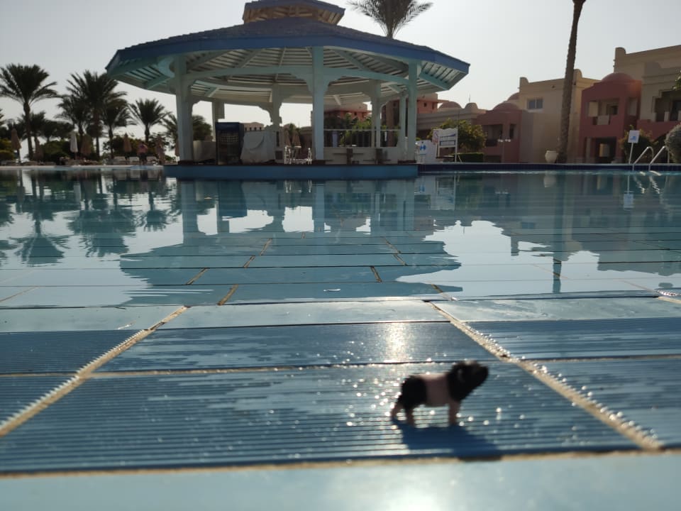 Pool Serenity Alpha Beach