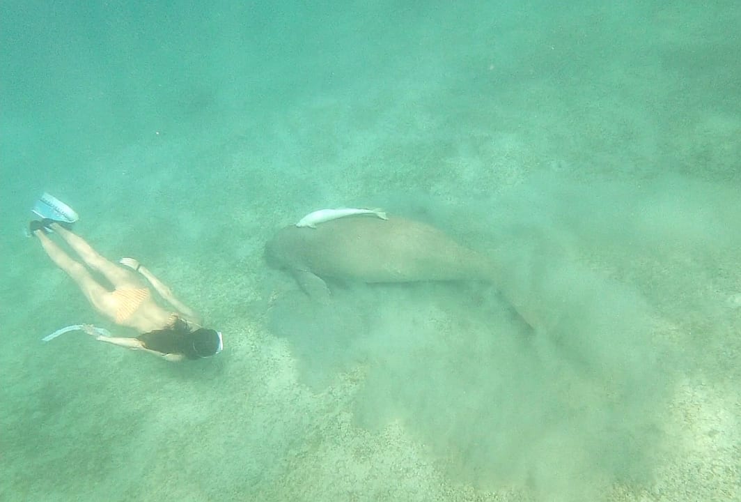 Strand Jaz Costa Mares (Adults Only)