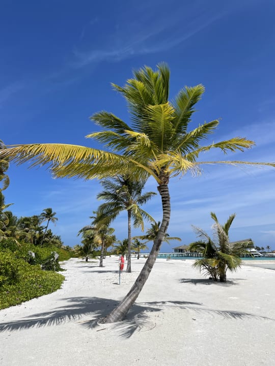 Strand Le Meridien Maldives Resort & Spa