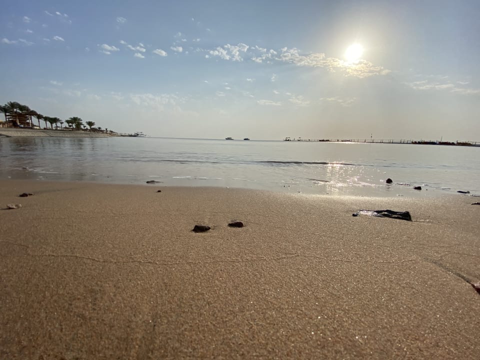 Strand Pickalbatros Palace Resort