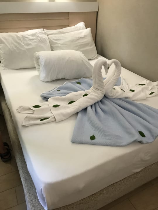 Zimmer Can Garden Beach