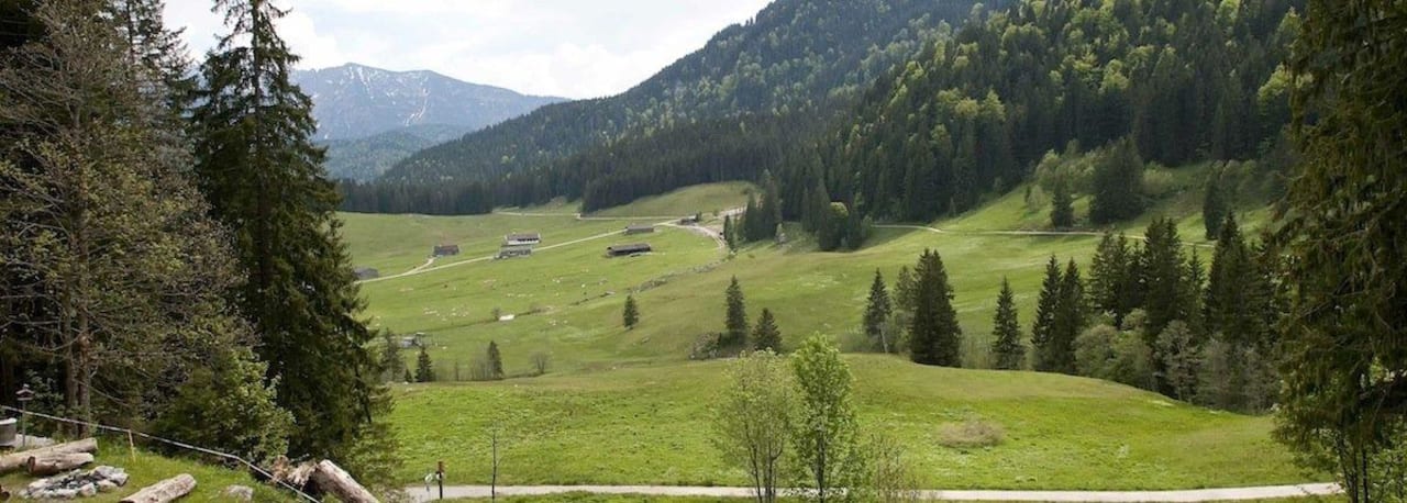Blick Sommer Berggasthof am Roßkopf