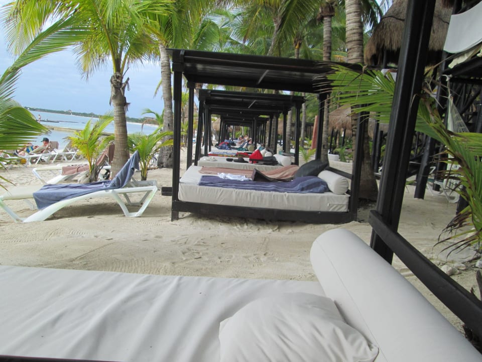 Strandbett Hauptstrand TUI BLUE El Dorado Seaside Suites
