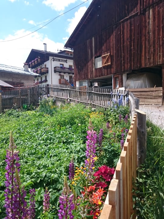 Außenansicht Beim Gruber - Urlaub auf dem Bauernhof
