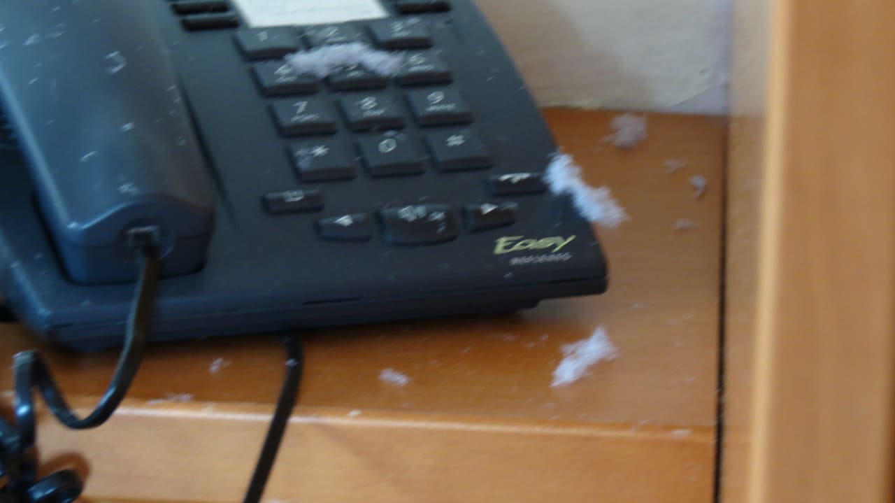 Staubalarm nach Koffer auf Schrank gelegt Sonnenwald Hotel