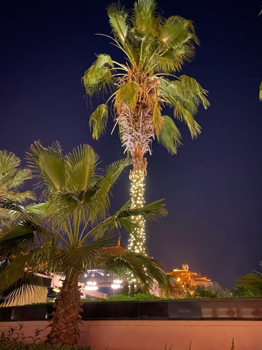 Ausblick Anantara The Palm Dubai Resort