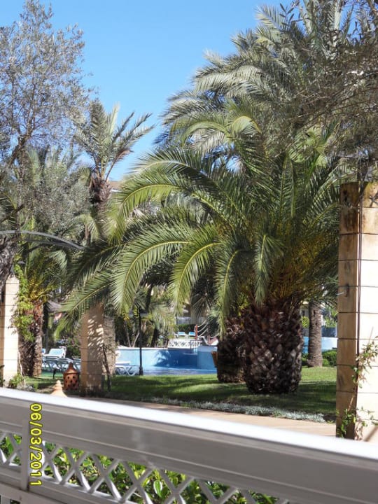 Pool und Garten Prinsotel La Dorada