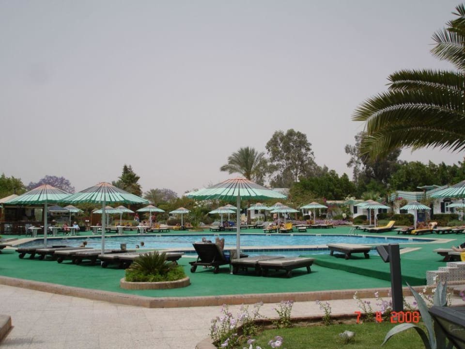 Blick auf den Pool Ghazala Beach