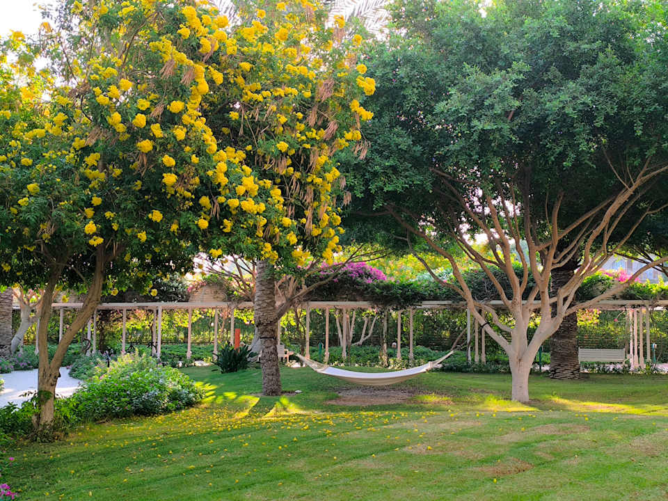 Gartenanlage Desert Rose