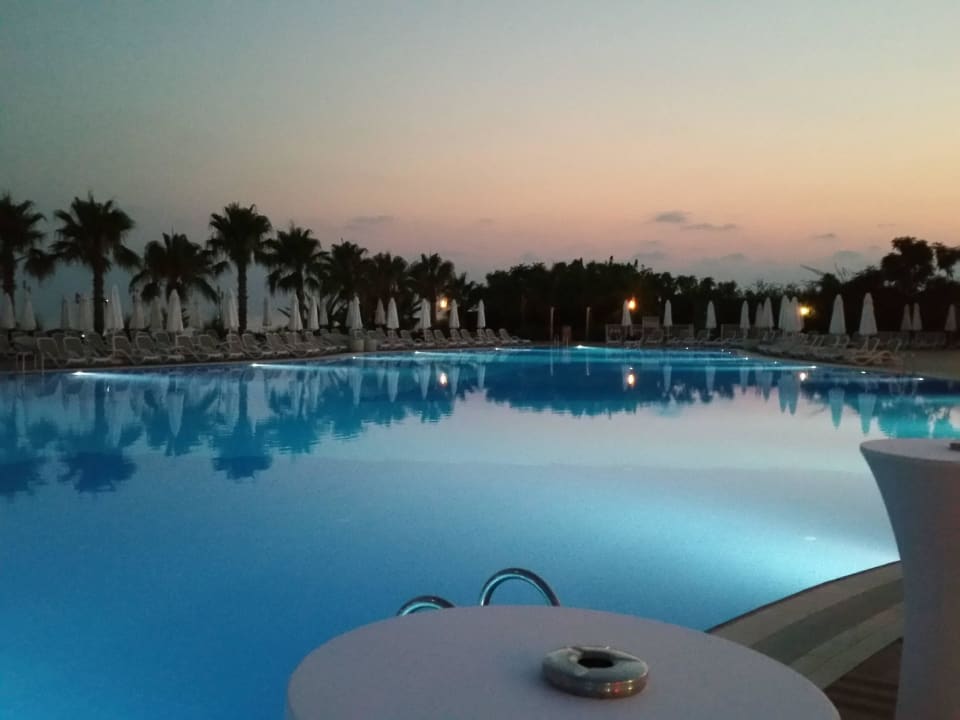 Poolbilder Paloma Oceana