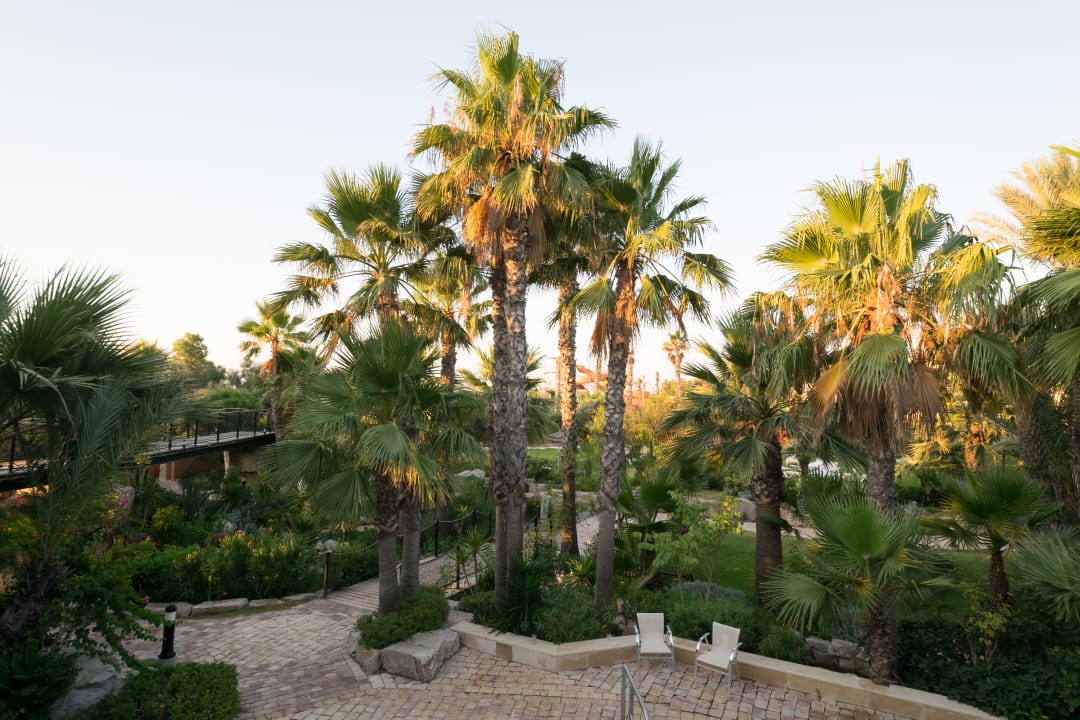 Gartenanlage TUI MAGIC LIFE Africana